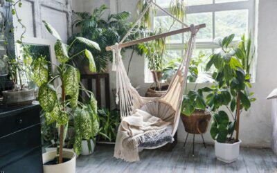 As 5 melhores plantas para decorar sua varanda